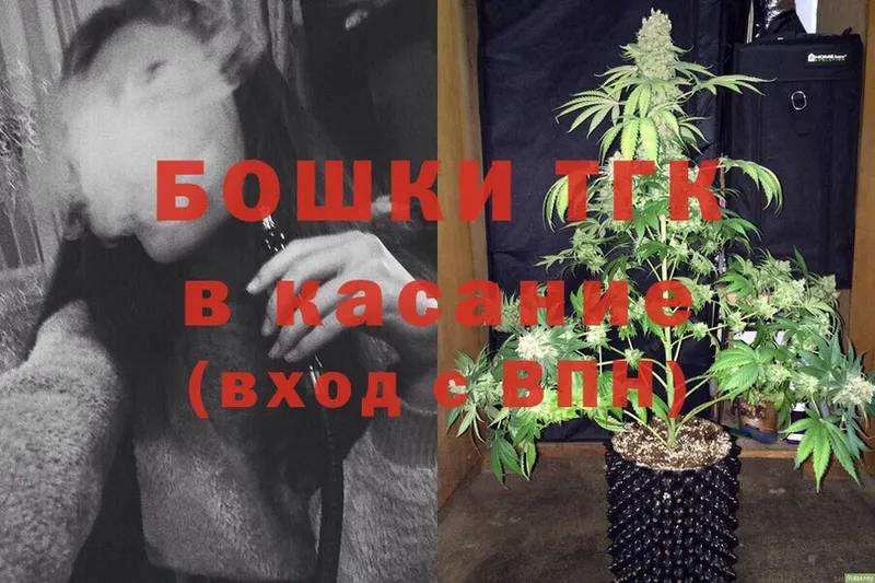 Каннабис SATIVA & INDICA  Гаджиево 